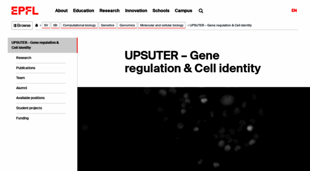 suter-lab.epfl.ch