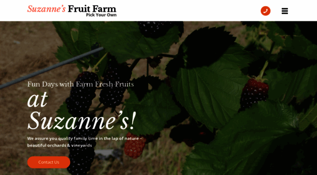 suzannesfruitfarm.com