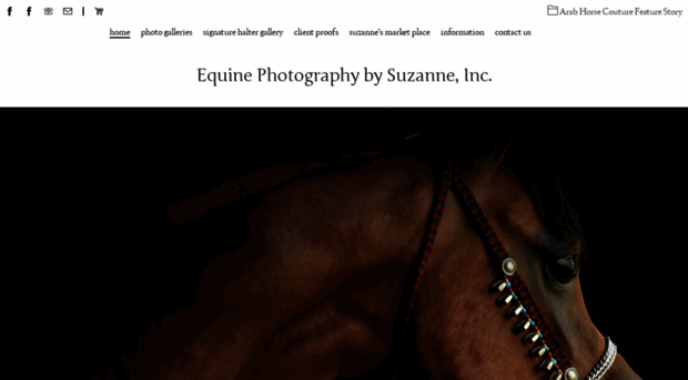 suzannesphoto.com