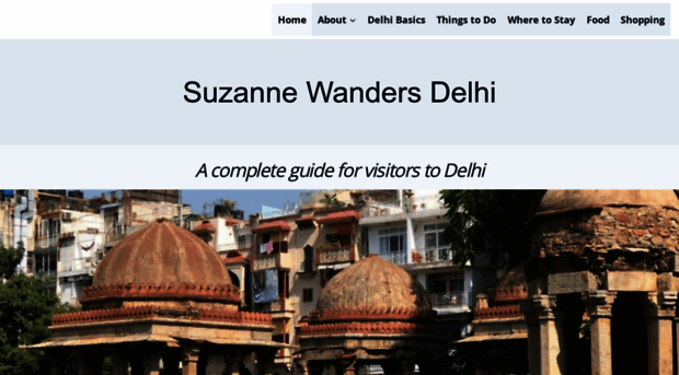 suzannewandersdelhi.com