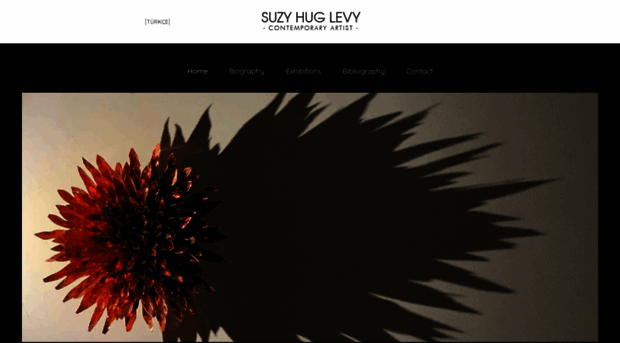 suzyhuglevy.com