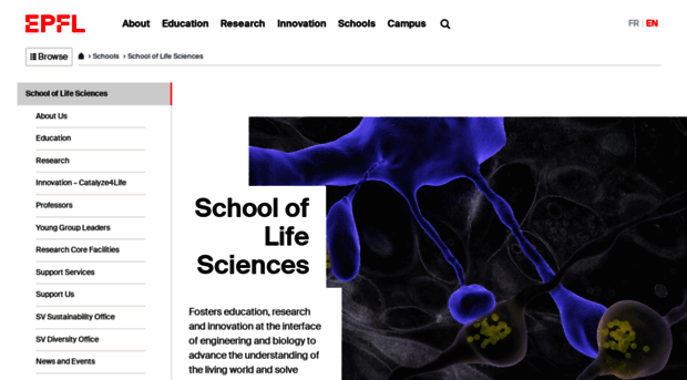 sv.epfl.ch