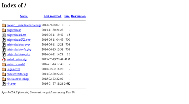 svn.gold-saucer.org