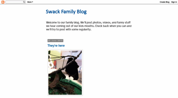 swackfamilyblog.blogspot.com