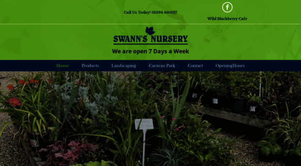 swannsnursery.co.uk