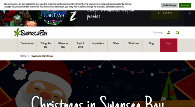 swanseachristmas.com