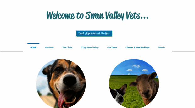 swanvalleyvet.com.au