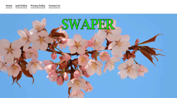 swaper.info