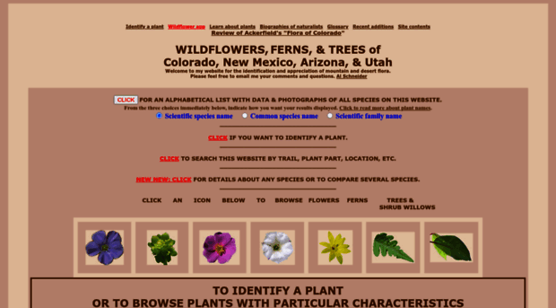 swcoloradowildflowers.com