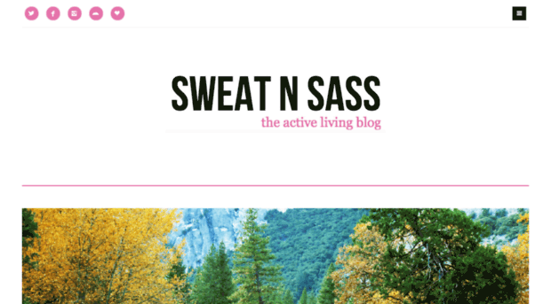 sweatnsass.com