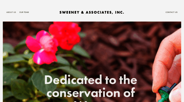 sweeneyassoc.com