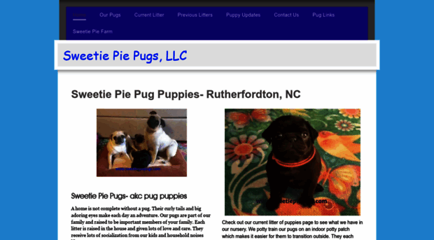 sweetiepiepugs.com
