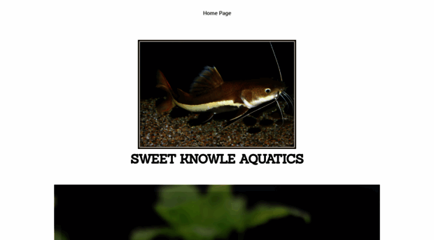 sweetknowleaquatics.co.uk