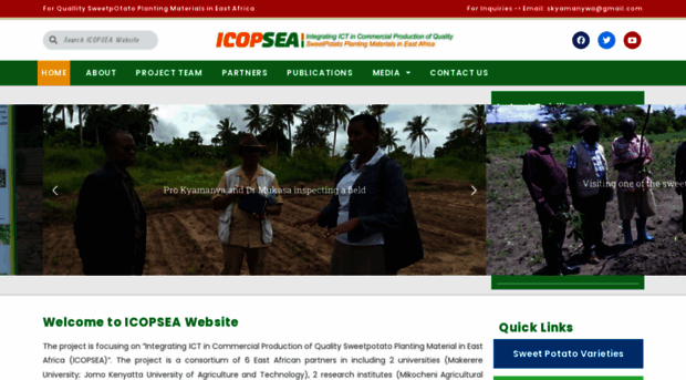 sweetpotatoeseastafrica.org