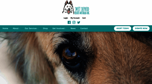 sweetshepherdrescue.com.au