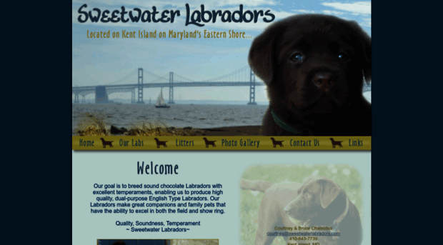 sweetwaterlabradors.com