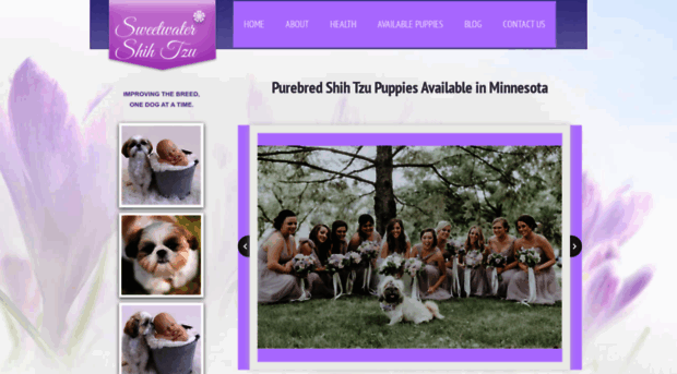 sweetwatershihtzu.com