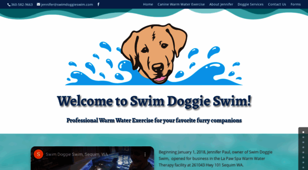 swimdoggieswim.com