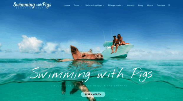 swimmingwithpigs.com