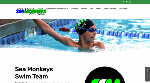 swimseamonkeys.com