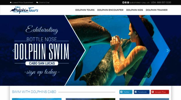 swimwithdolphinscabo.com