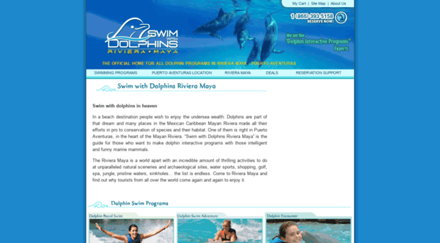 swimwithdolphinsrivieramaya.com