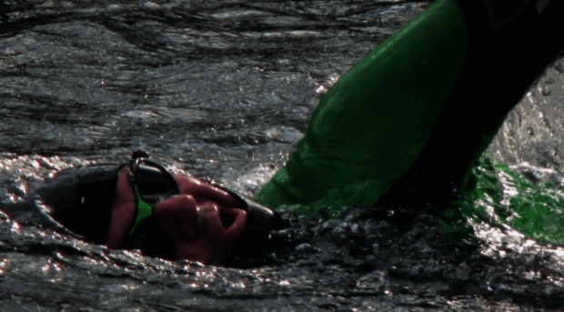 swimwithswain.org