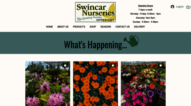 swincarnurseries.co.uk