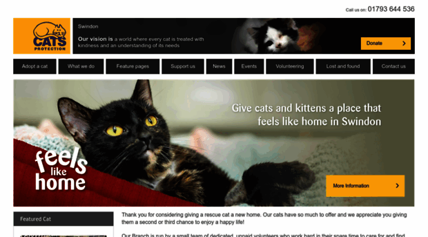 swindon.cats.org.uk