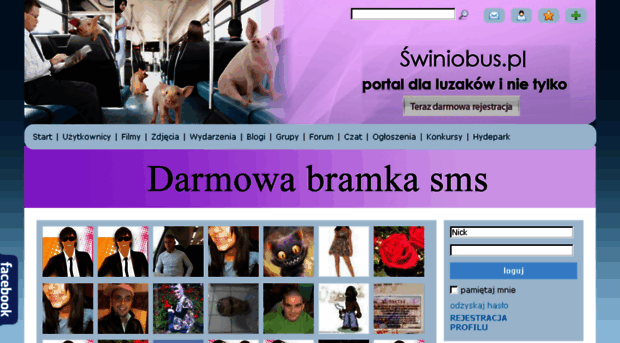 swiniobus.pl