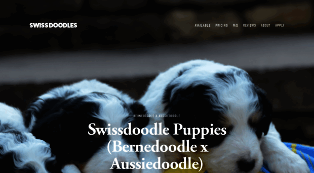 swissdoodles.com