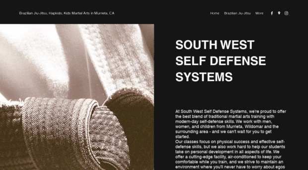 swselfdefense.com