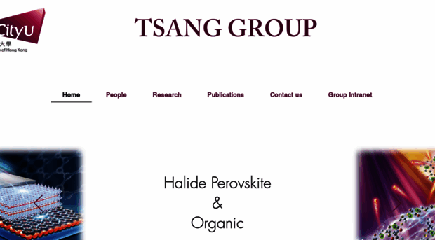 swtsang.com