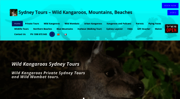 sydney-tours.com.au