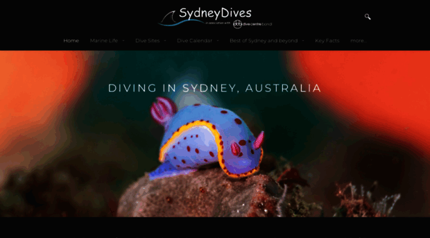 sydneydives.com