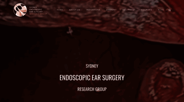 sydneyearendoscopy.com