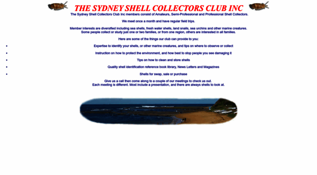 sydneyshellclub.net