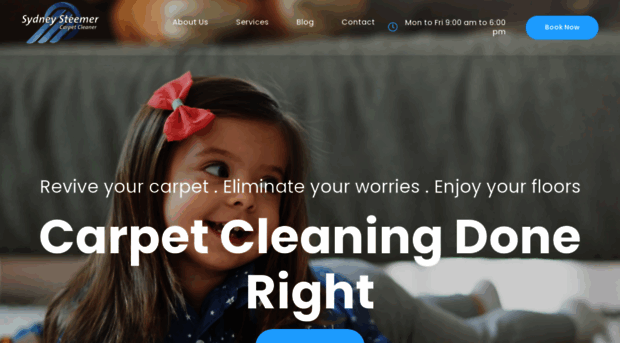 sydneysteemercarpetcleaner.com.au