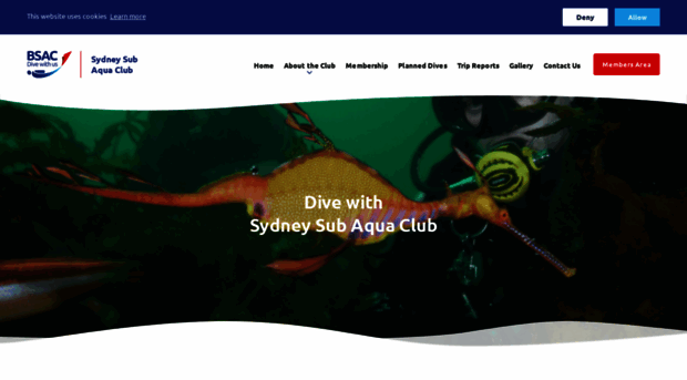 sydneysubaquaclub.com