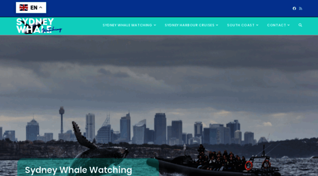 sydneywhalewatching.au