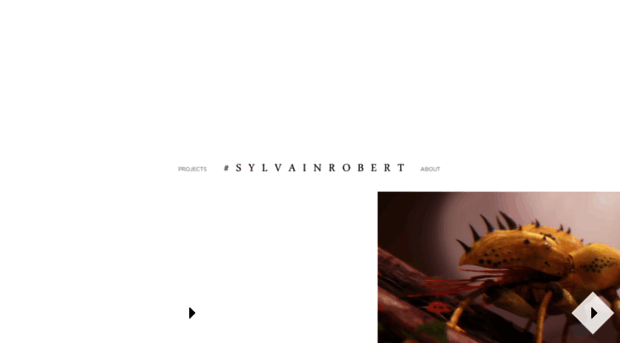 sylvain-robert.com