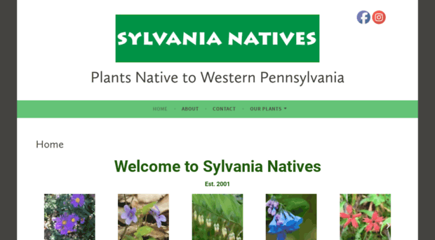 sylvanianatives.com