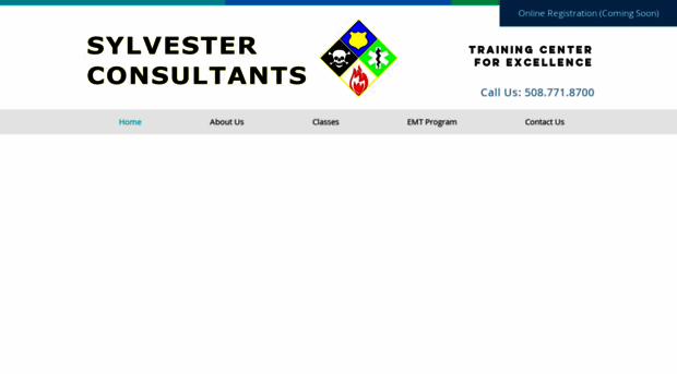 sylvesterconsultantsinc.com