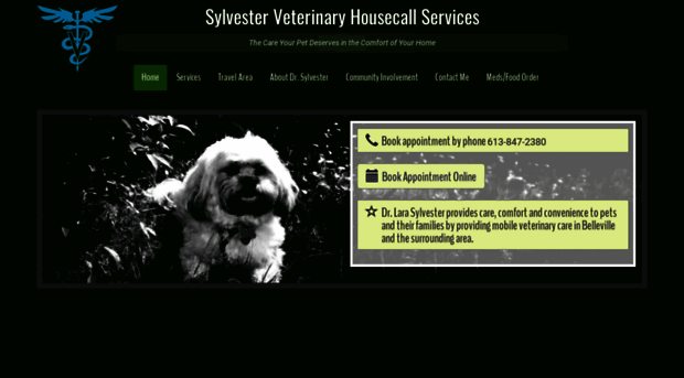 sylvestervet.com