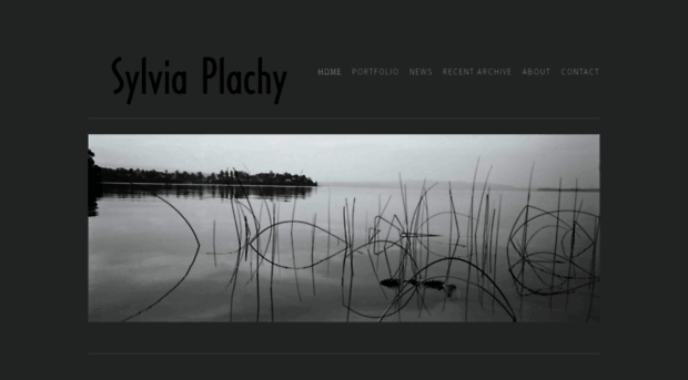 sylviaplachy.com