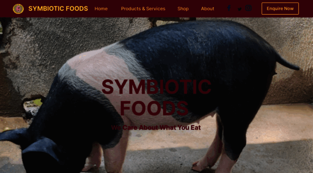 symbioticfoods.in