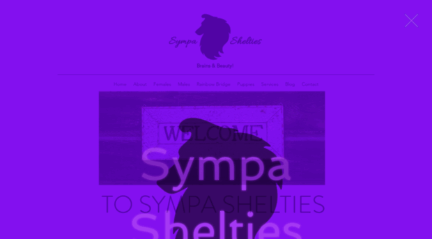 sympashelties.com