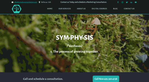 symphysismarketing.com