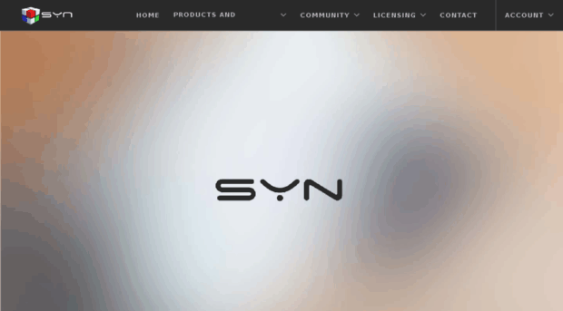 syn.co.in