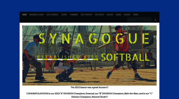 synagoguesoftball.com